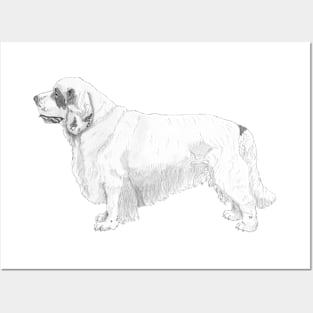 Clumber spaniel Posters and Art